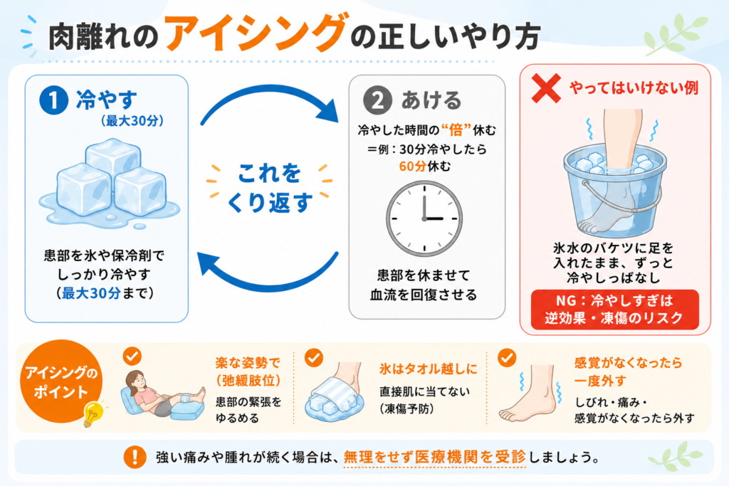 肉離れのアイシングは「冷やす(最大30分)」と「冷やした倍の時間あける」をくり返すのが正解で、バケツに足を入れたままの冷やしっぱなしは間違いだと示した図解