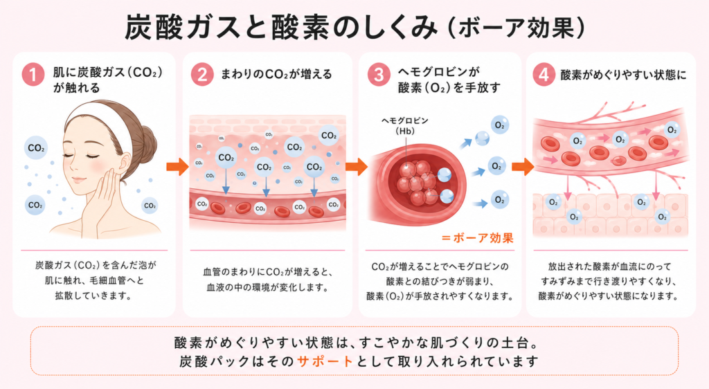 炭酸ガスによるボーア効果のしくみを4ステップで示した図解。酸素がめぐりやすくなる体の流れをやさしく解説。