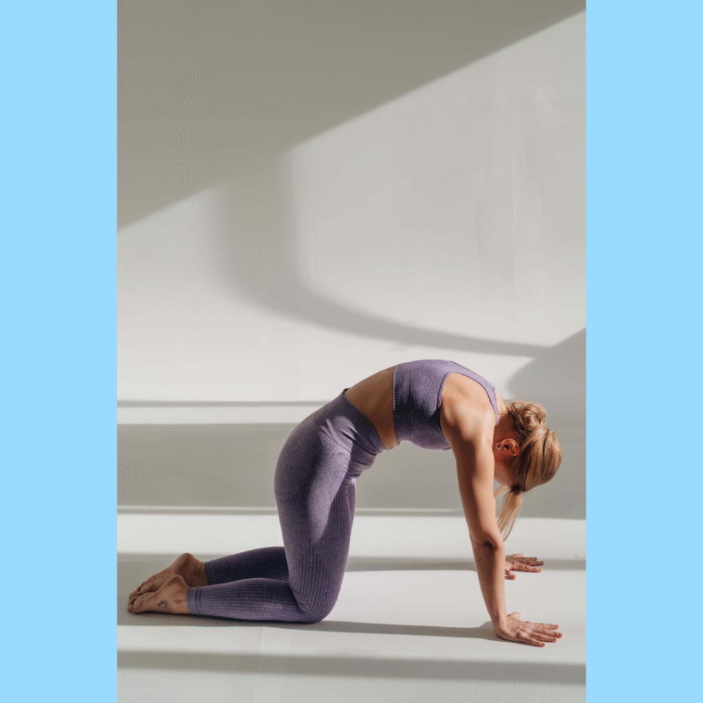 キャットバック　キャットカウ