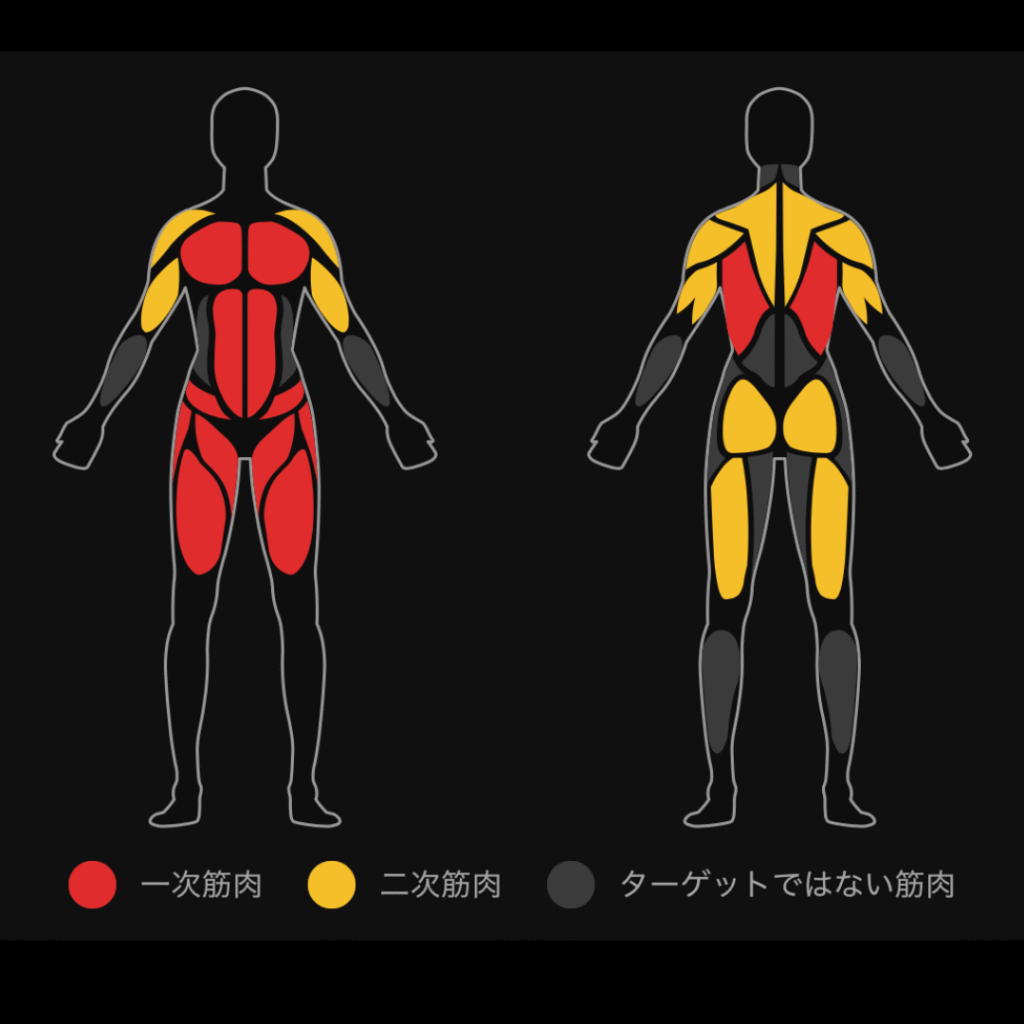 ガーミン 筋トレモード 筋肉マップ