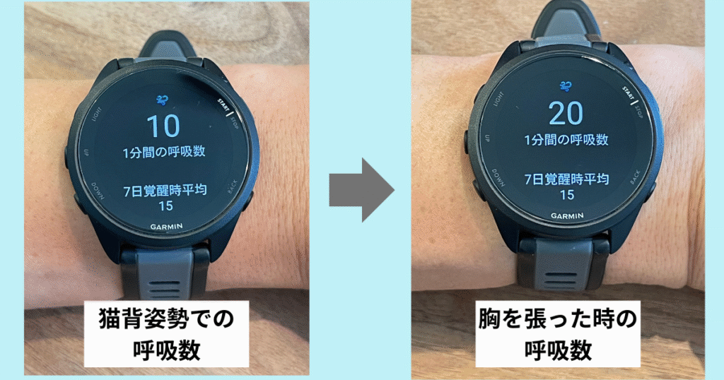 ガーミン　呼吸数　変化　姿勢