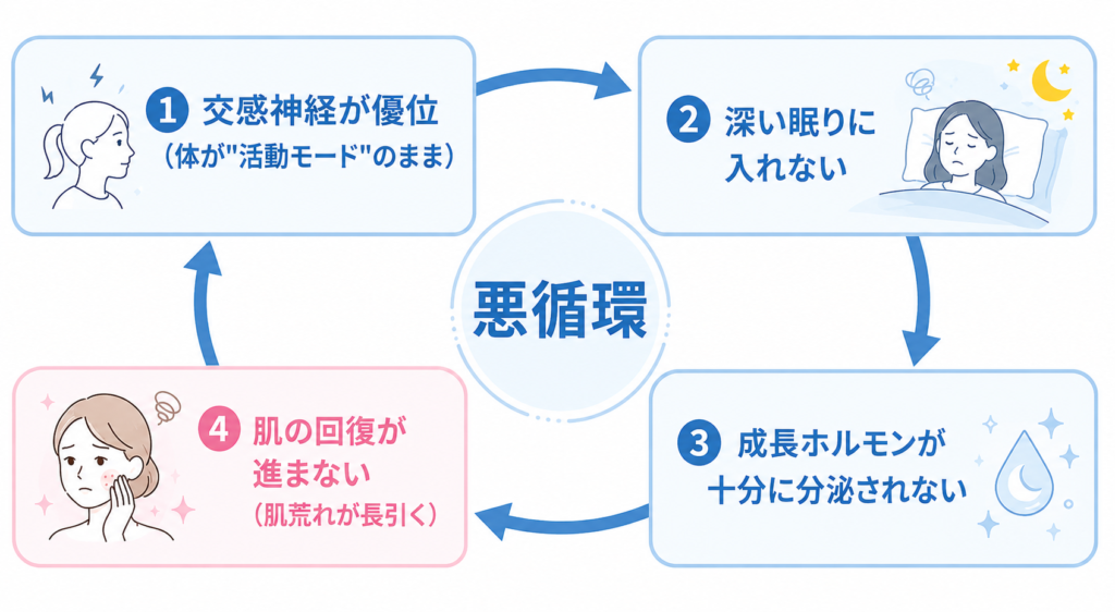 交感神経が優位だと深い眠りに入れず成長ホルモンが減り、肌の回復が進まないという自律神経と肌荒れの悪循環を示した図解
