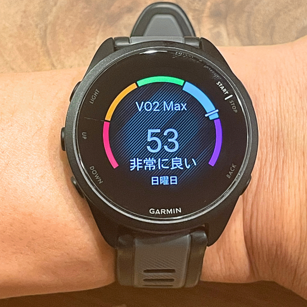 ガーミン　VO2　Max　疲労　度