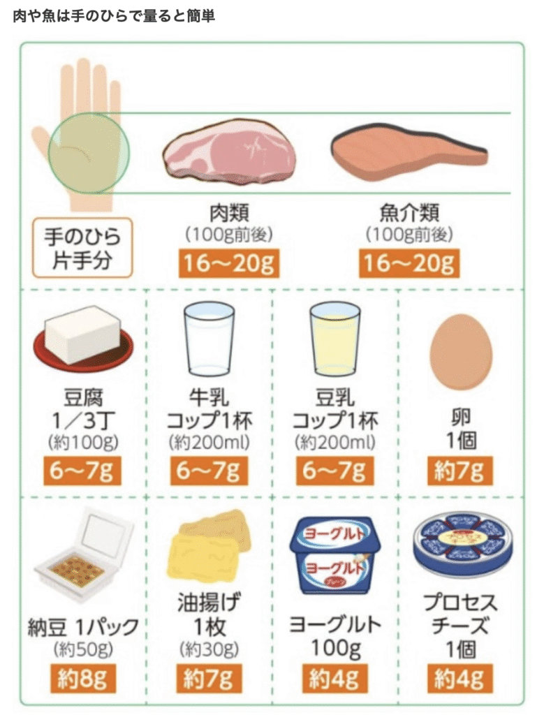 プロテイン　目安