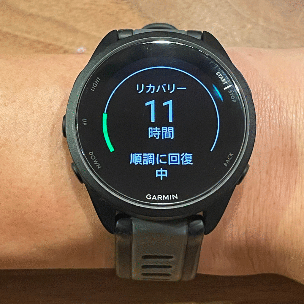ガーミン　リカバリーステータス