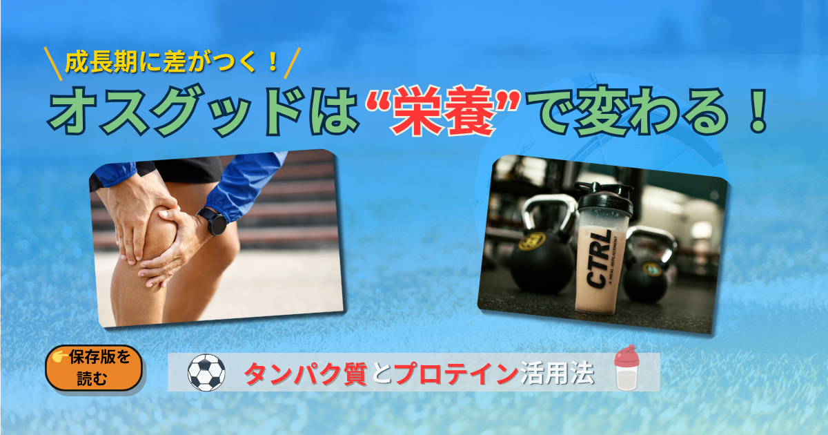 オスグッド　栄養