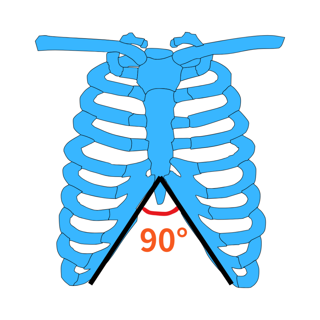 リブフレア セルフチェック 角度