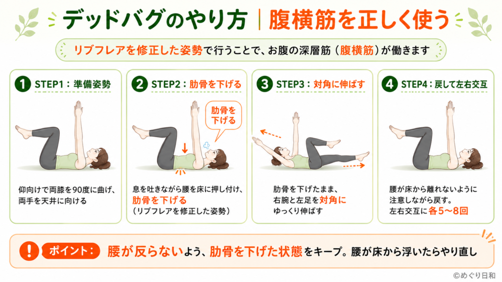 デッドバグのやり方の図解。仰向けで肋骨を下げ、対角の手足を伸ばして腹横筋を使う4ステップを解説
