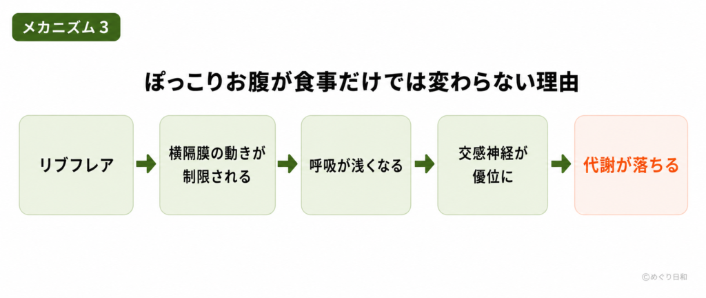 リブフレアが呼吸・代謝低下につながるフロー図